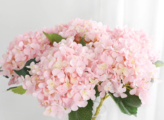 0001_capturea_1634209699-f8cf11eb8da10b48404666b91cc00bfe.PNG