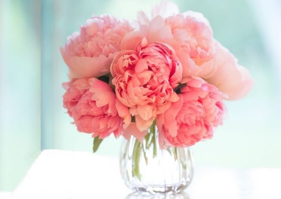 0001_pink-flowers-header-1512582155_1621080391-1e87c7dedfbac56950131b05e2c4fab3.jpg